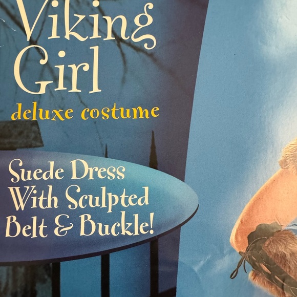 Disguise Viking Girl Deluxe Costume - Brown and Blue - Picture 2 of 3